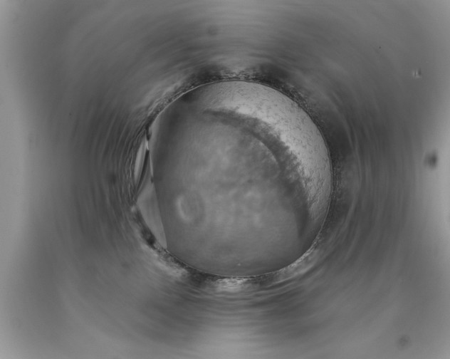 X0000090490090200707272349