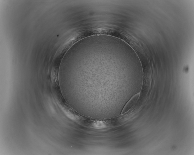 X0000090490091200707272349