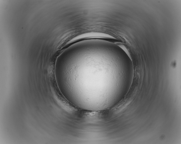 X0000090490092200707272349