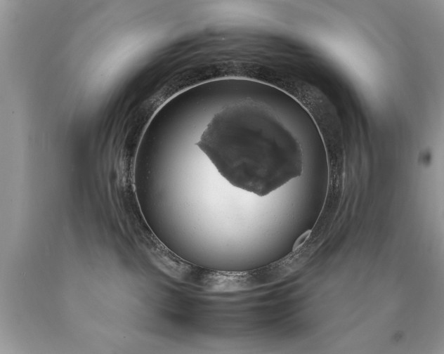 X0000090490093200707272349