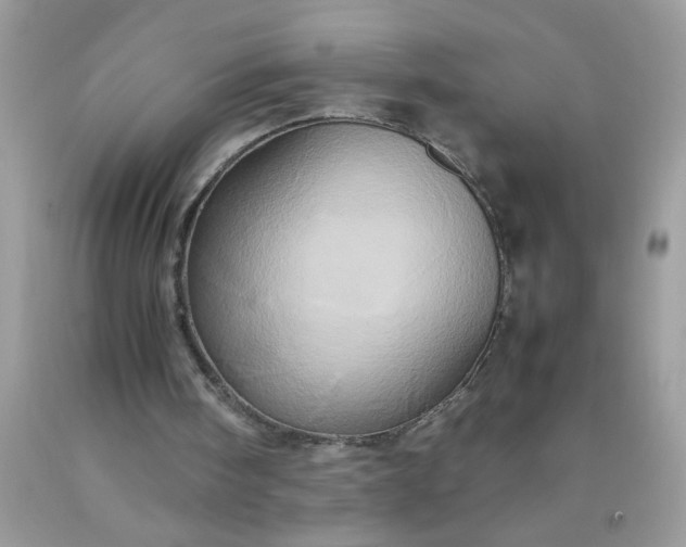 X0000090490098200707272349