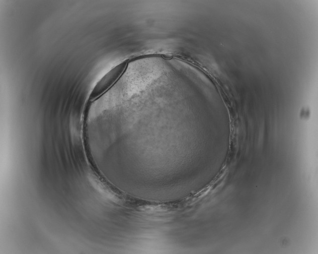 X0000090490100200707272349