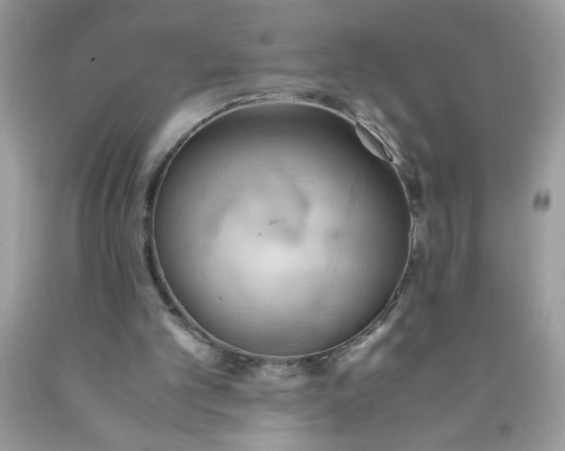 X0000090490101200707272349