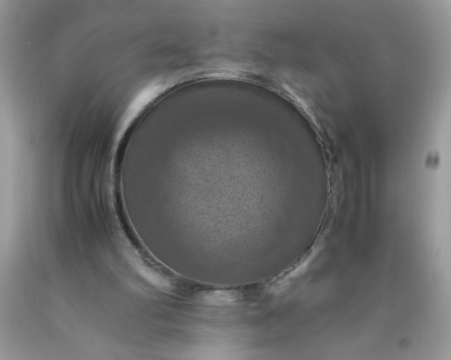 X0000090490102200707272349
