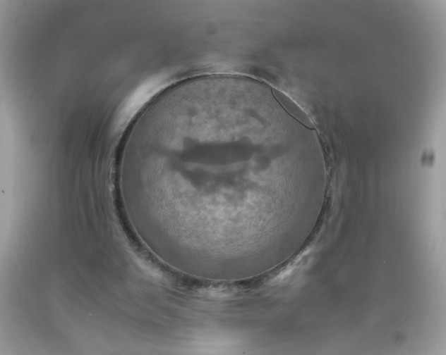 X0000090490103200707272349