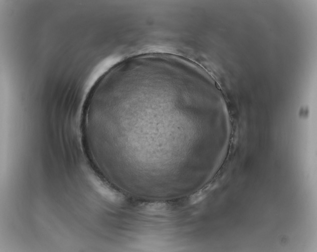 X0000090490104200707272349