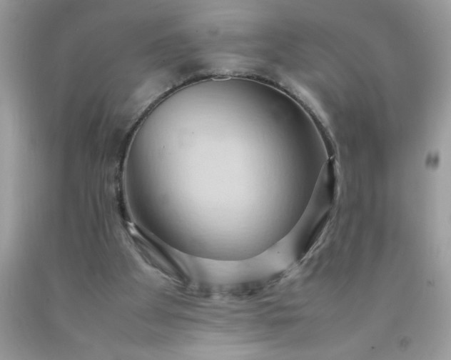 X0000090490105200707272349