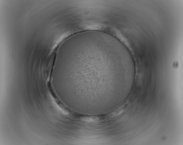 X0000090490106200707272349
