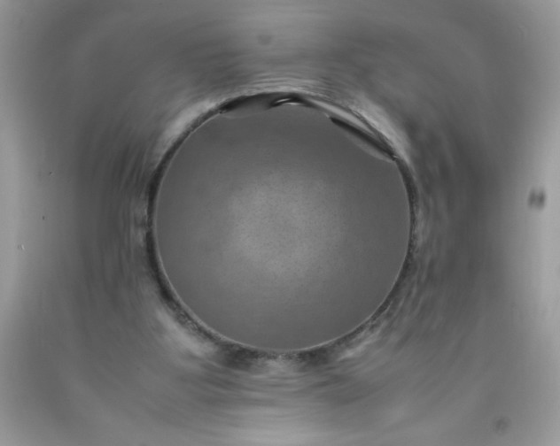 X0000090490107200707272349