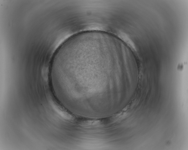 X0000090490108200707272349