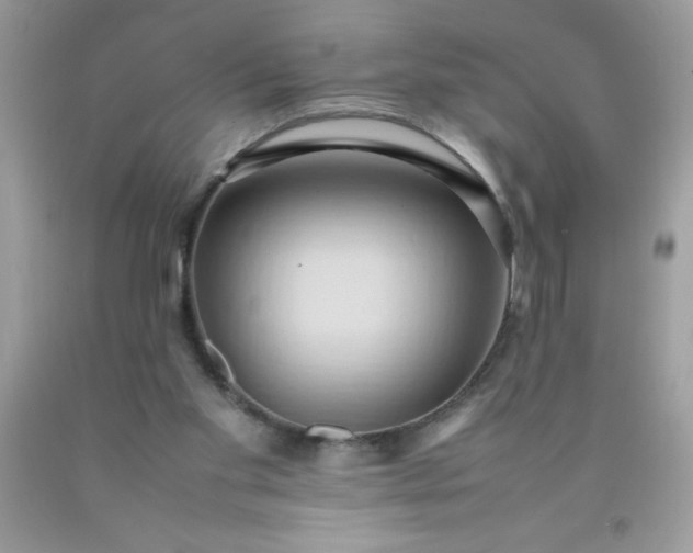 X0000090490109200707272349