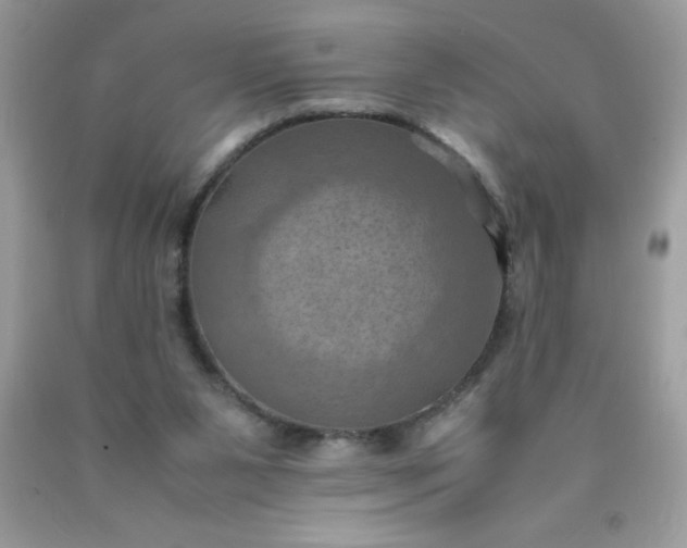 X0000090490111200707272349