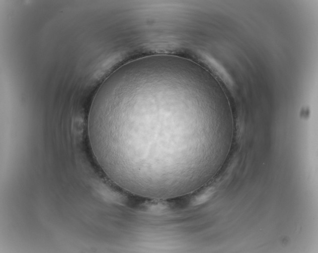 X0000090490113200707272349