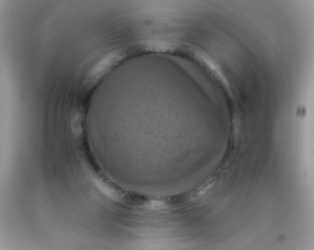 X0000090490114200707272349