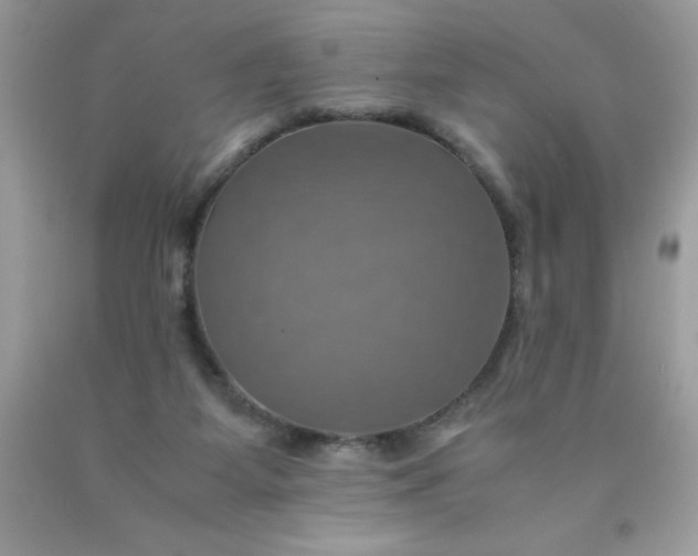 X0000090490115200707272349