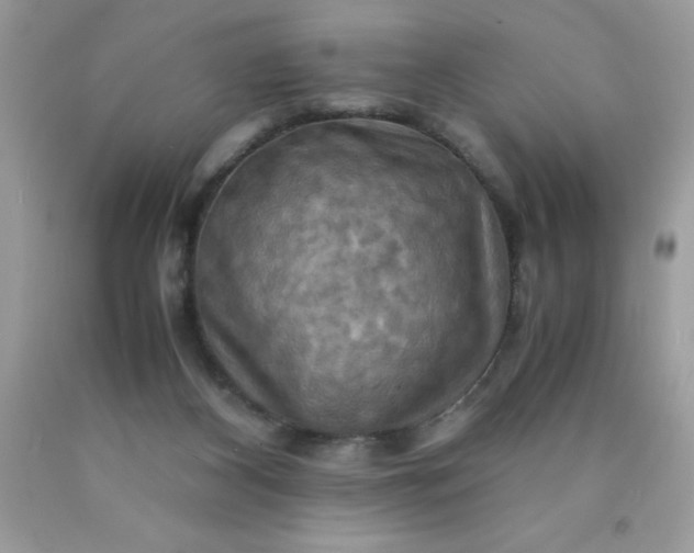 X0000090490116200707272348