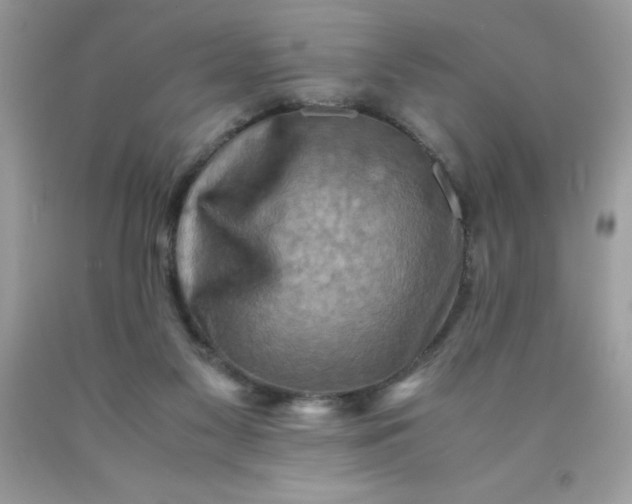X0000090490117200707272348