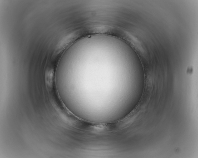 X0000090490118200707272348