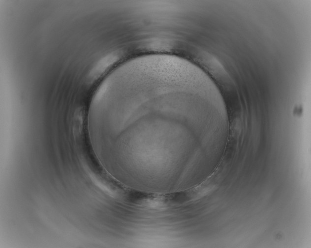 X0000090490120200707272348