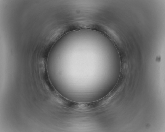 X0000090490121200707272348