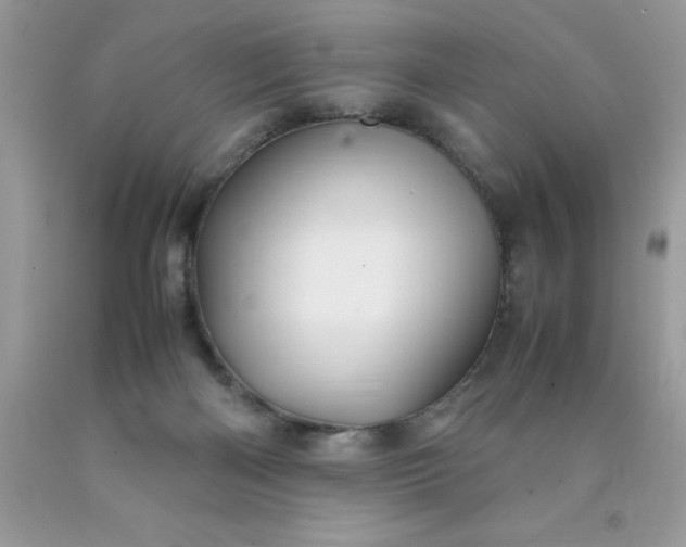 X0000090490122200707272348