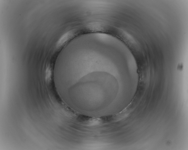 X0000090490124200707272348