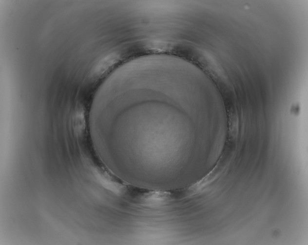 X0000090490128200707272348
