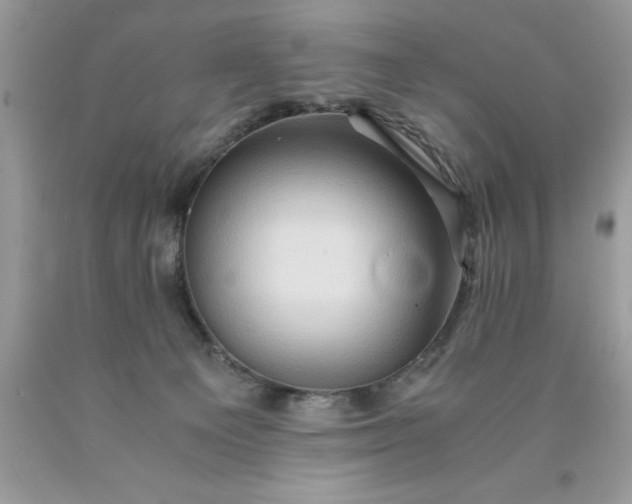 X0000090490129200707272348
