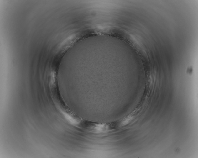 X0000090490130200707272348