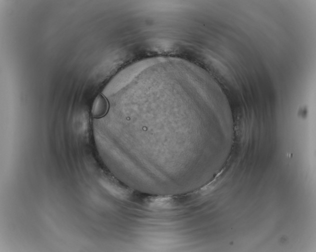 X0000090490132200707272348