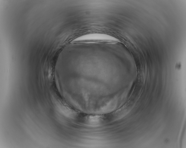X0000090490134200707272348