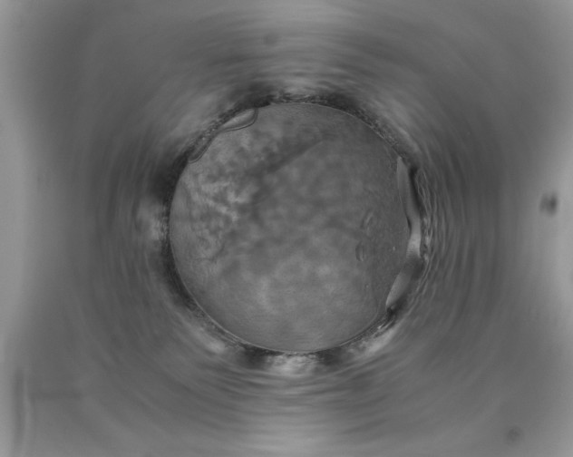 X0000090490135200707272348