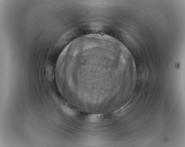X0000090490136200707272348