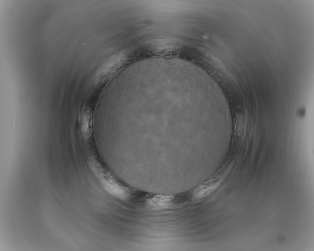 X0000090490138200707272348