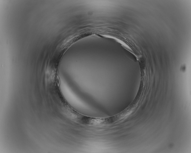 X0000090490139200707272348