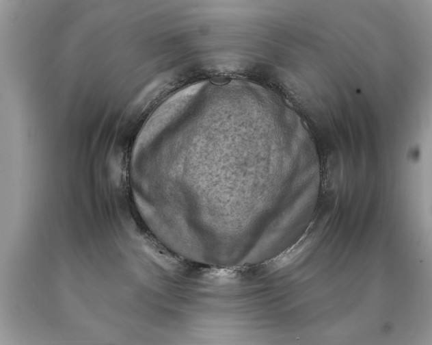 X0000090490140200707272348