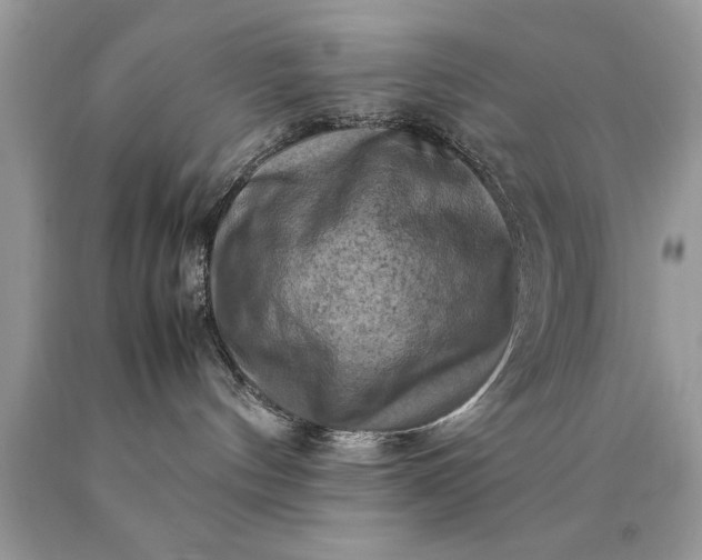 X0000090490144200707272348