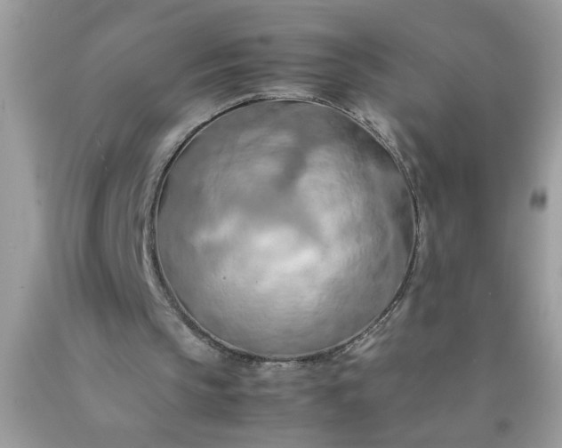 X0000090490145200707272347