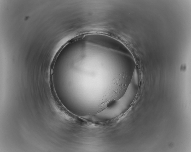 X0000090490148200707272347
