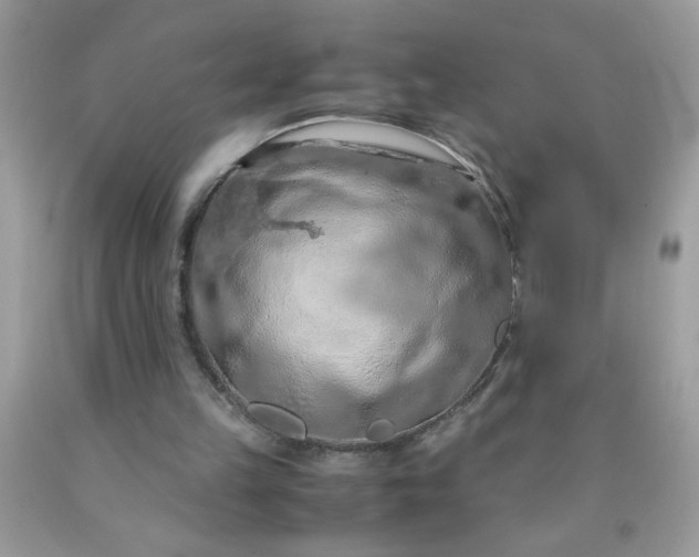 X0000090490149200707272347