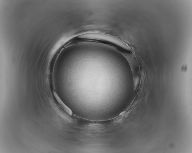 X0000090490150200707272347