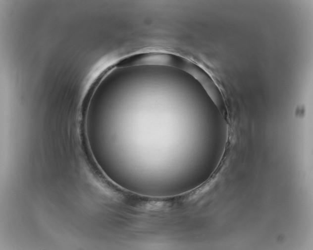 X0000090490152200707272347