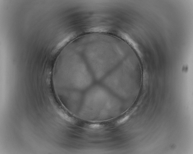 X0000090490153200707272347