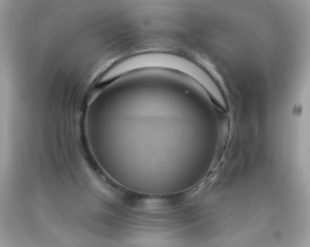 X0000090490154200707272347
