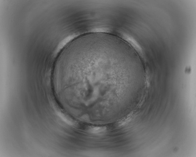 X0000090490155200707272347