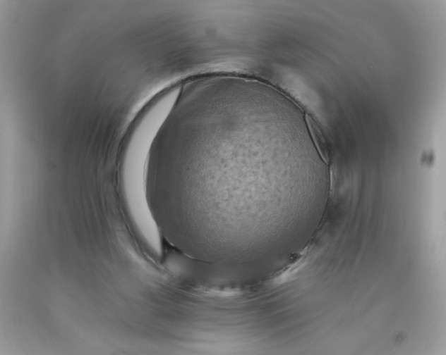 X0000090490156200707272348
