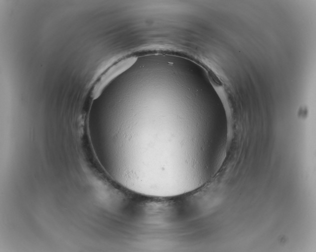 X0000090490160200707272348
