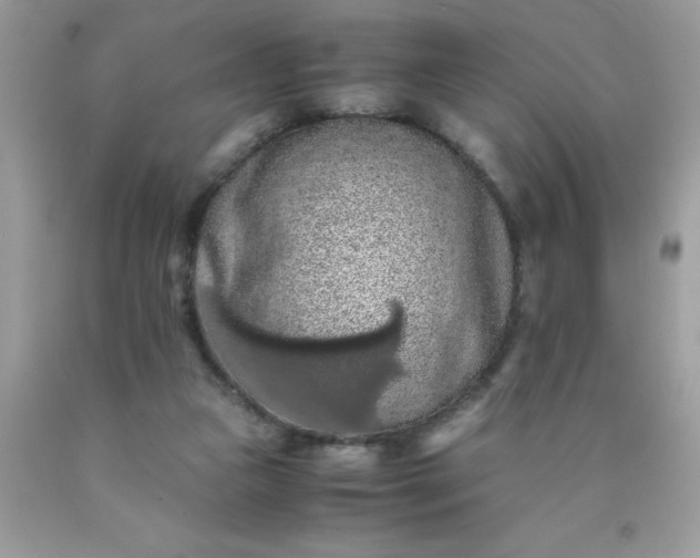 X0000090490161200707272348