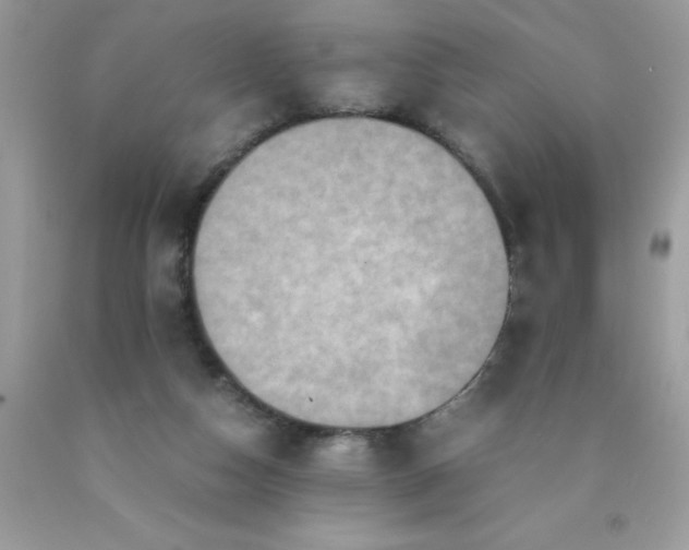 X0000090490162200707272348