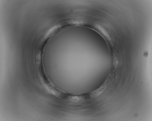 X0000090490163200707272348